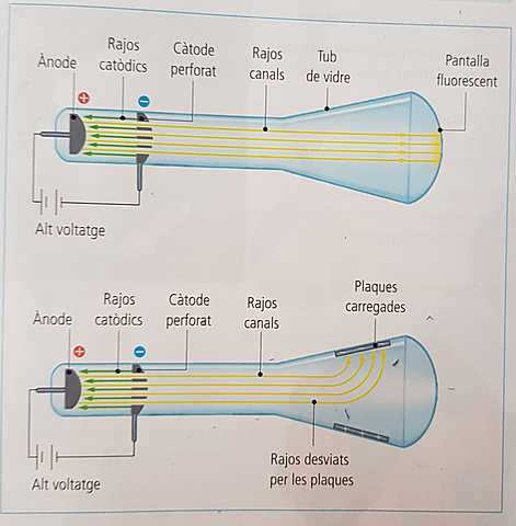 DESCOBRIMENT DEL PROTÓ