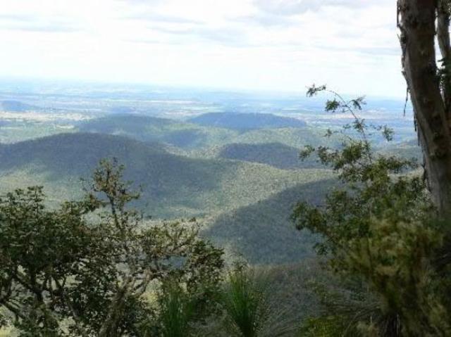bunya mountains national park