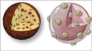 Le pudding de Thomson