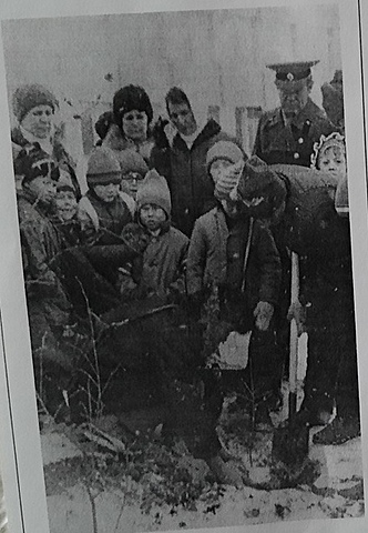 Посадка дубов