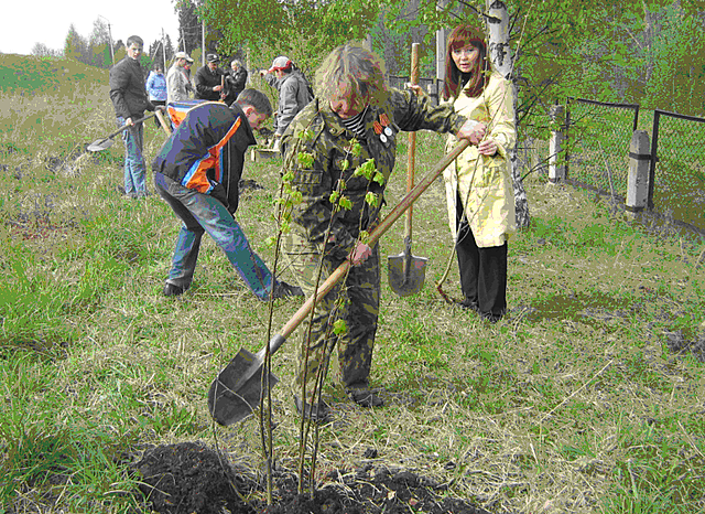 Липовая аллея