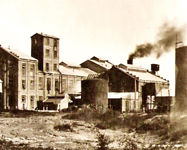 La historia del ingenio