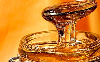 Quintana Roo en el mundo