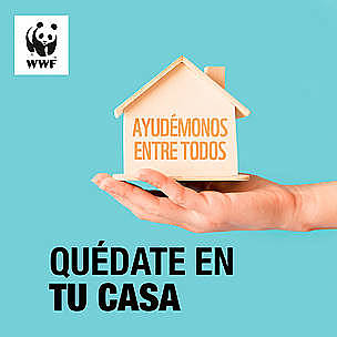 las personas permanecen aislados en sus casas por la cuarentena