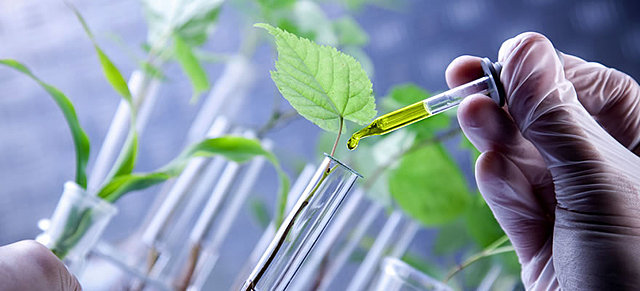 El Protocolo de Cartagena sobre Seguridad de la Biotecnología