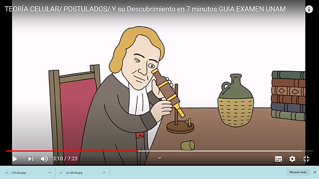 Primer descubrimiento