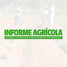 Estudio agrícola de Quintana Roo