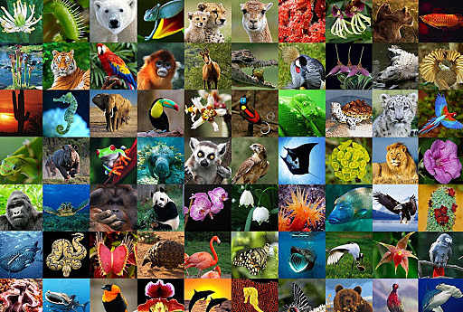 Resolución 1263 de 2006