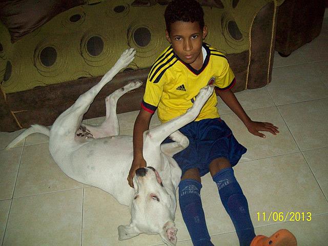 my dog