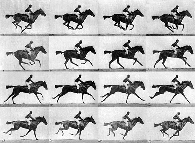 Estudio de locomoción humana y animal