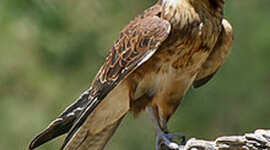 Timeline: Greg&Alexis' Timeline