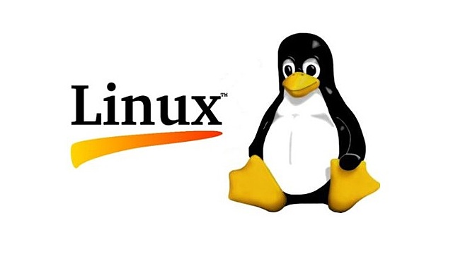 Desarrollo de  Linux.