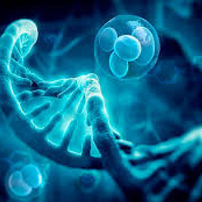 Timeline: Historia de la Genética