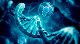 Timeline: Historia de la Genética