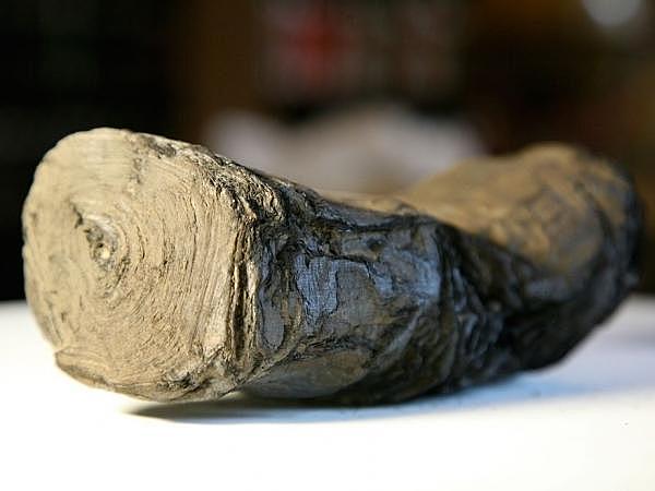 Els papirs de herculano