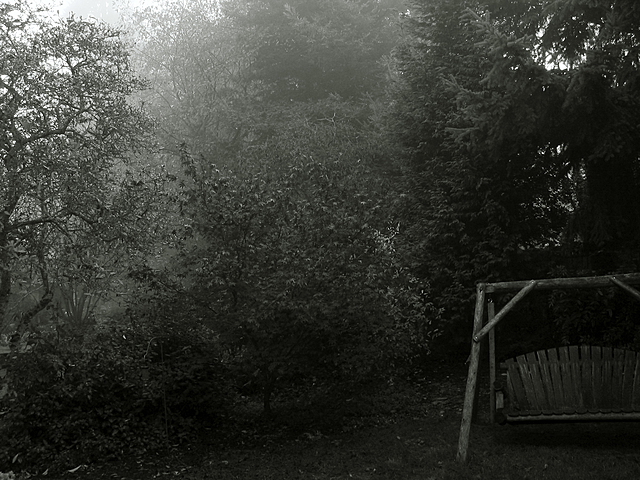 Murder in the light of the day