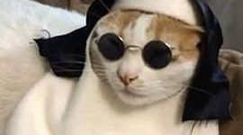 Timeline: David Alejandro Sarmiento Jiménez           (instituto Inscap)