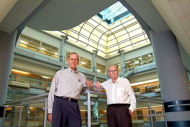 Células madre multipotentes