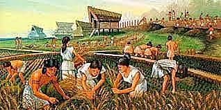 Descobriment de l'agricultura