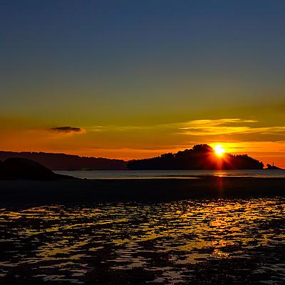 Timeline: Linea de Vida