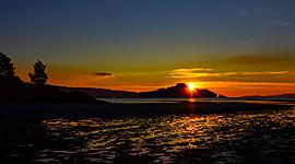 Timeline: Linea de Vida