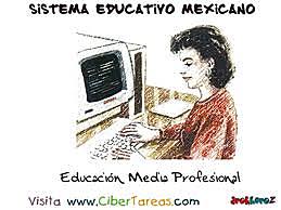 5.6.1.Estructura y funcionamiento del Sistema Educativo Mexicano