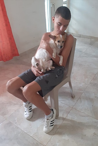 My pet died due to an accident