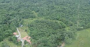 SE CREA EL CENTRO FORESTAL COSTAYACO