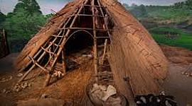 Timeline: Neolithic Revolution