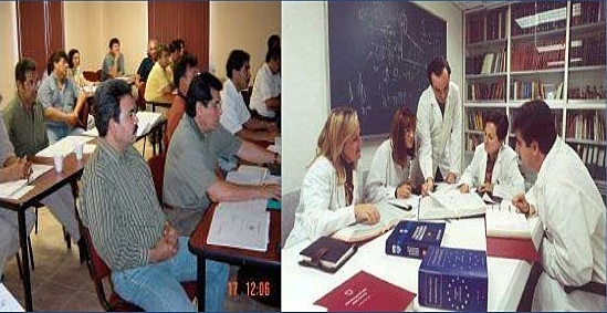 La TE como un enfoque técnico racional.