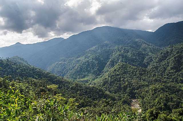 ADQUIERE EL CAMPO ACORDEONERO DEL MAGDALENA