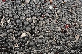 CONTAMINACIÓN RIO SAN LORENZO