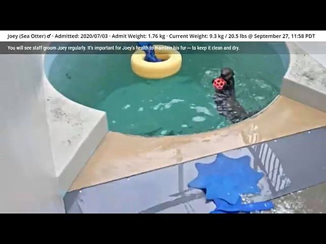 En una bañera más grande