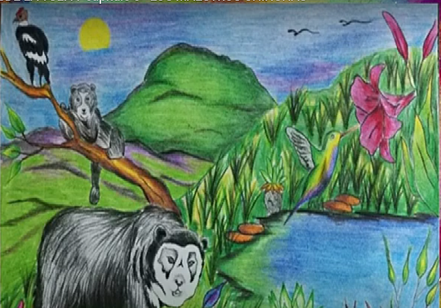 CAPITULO 6 "LOS MAESTROS CHINCHAS"