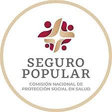 Se creó la Comisión Nacional de Protección Social en Salud de la Secretaría de Salud (ssa)