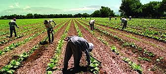 Programa Territorios Productivos (ptp)