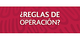 Reglas de Operación de Programas