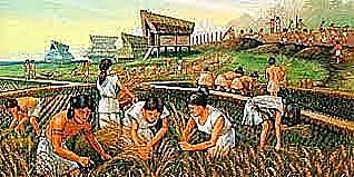 Descobriment de l'agricultura