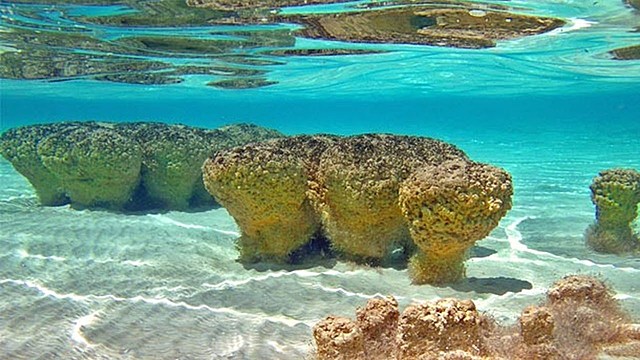 3500 millones de años.