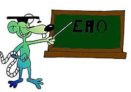 “Enseñanza asistida por ordenador” (EAO).