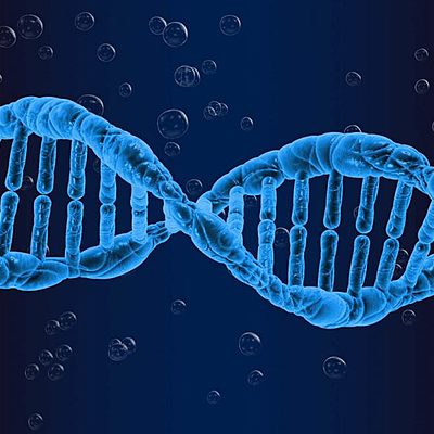 Timeline: LA SCOPERTA DEL DNA-Beatrice Piccinetti