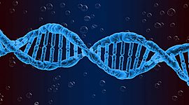 Timeline: LA SCOPERTA DEL DNA-Beatrice Piccinetti