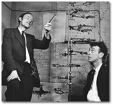 Watson e Crick