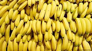 Exportación de banano