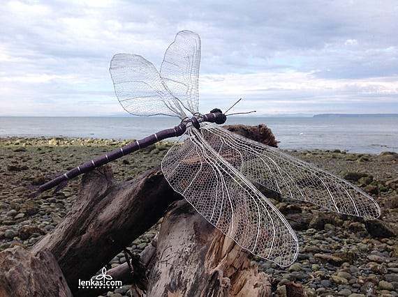 360 millones de años.