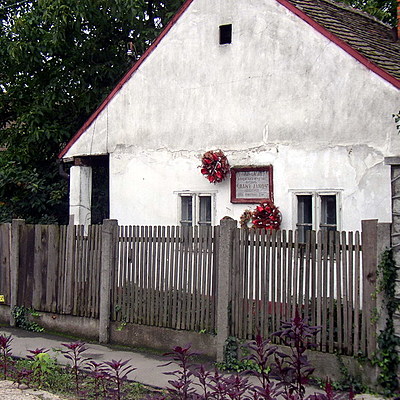 Timeline: Arany János