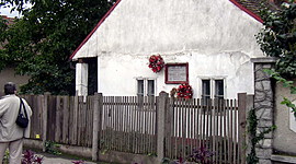 Timeline: Arany János