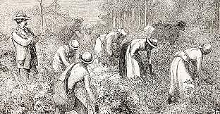 Abolitionism and the Underground Railroad