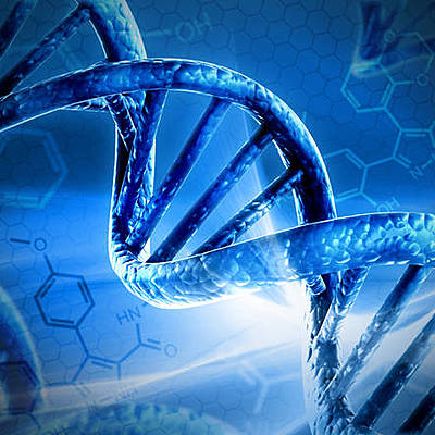 Timeline: la scoperta del DNA