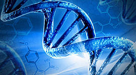 Timeline: la scoperta del DNA